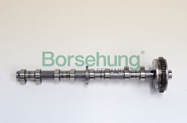 B18979 BORSEHUNG Вал распределительный впускной