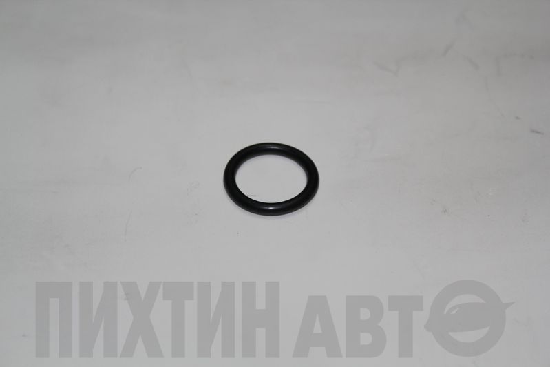 221314M505 NISSAN Кольцо уплотнительное