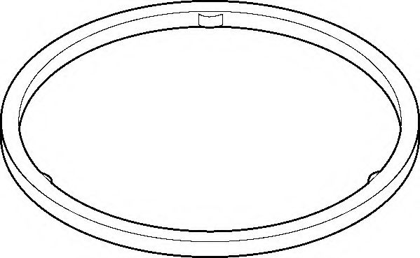 737660 ELRING Уплотнительное кольцо между турбиной и катализатором Elring