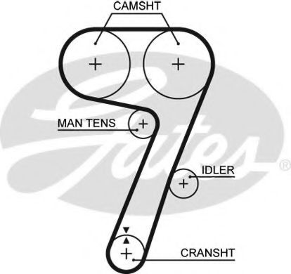 5336 GATES ремень грм (145 x 18)