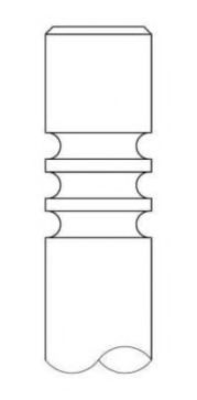 3056032 INTERVALVES Клапан впуск.IN [31,2x5x101,3]