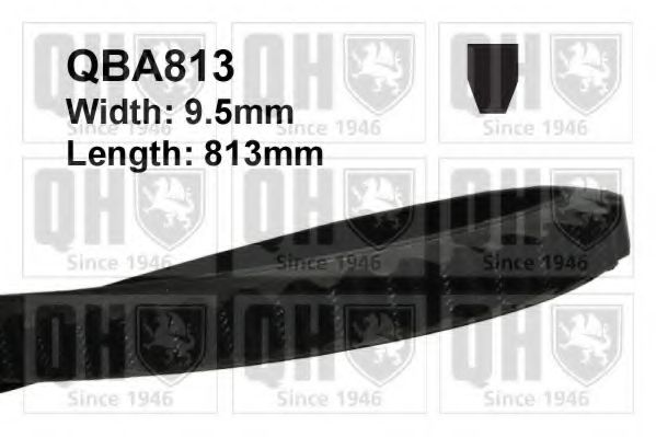 QBA813 QUINTON HAZELL Ремень клиновой