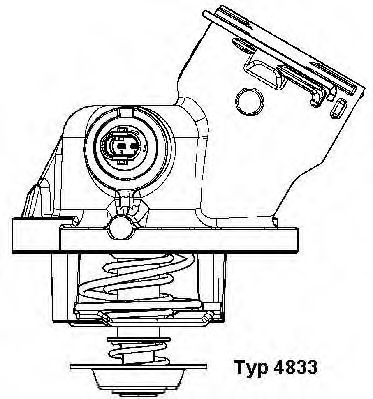 4833100D WAHLER Термостат