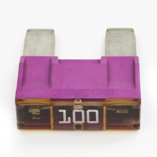 Предохранитель 100A